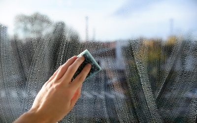 Why  Commercial Window Cleaning Must Have Your Business?